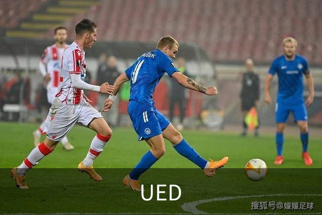 UED公司简介